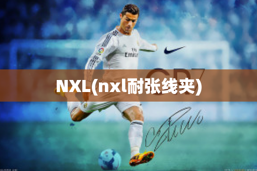 NXL(nxl耐张线夹)