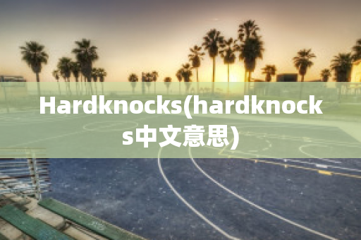 Hardknocks(hardknocks中文意思)