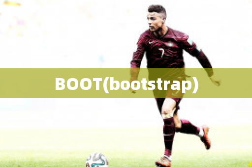 BOOT(bootstrap)