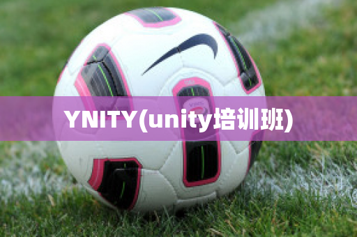 YNITY(unity培训班)
