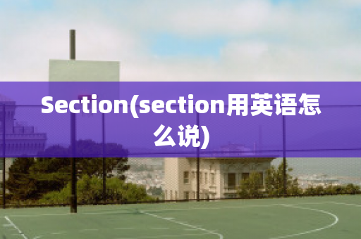 Section(section用英语怎么说)