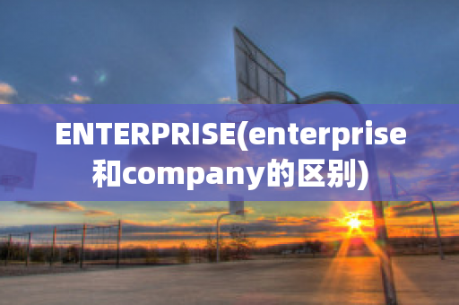 ENTERPRISE(enterprise和company的区别)