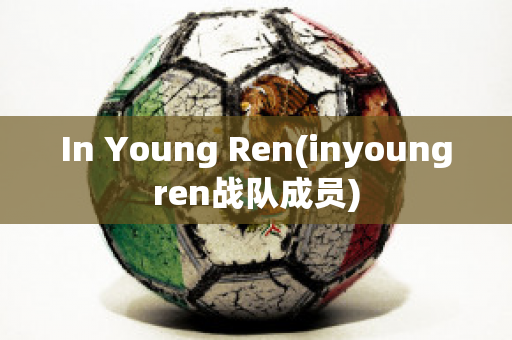 In Young Ren(inyoungren战队成员)