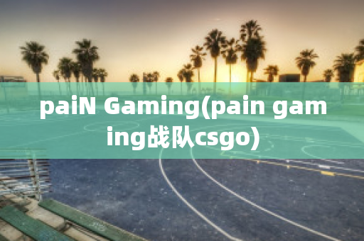 paiN Gaming(pain gaming战队csgo)